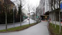 Blick auf die Wanderstrecke entlang der Parkpromenade